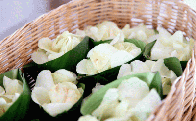 516-Wedding