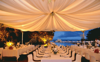 517-Wedding