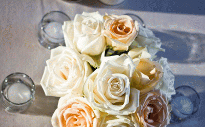 518-Wedding