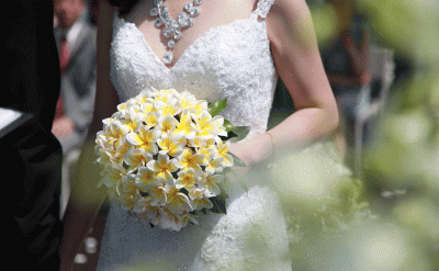 520-Wedding